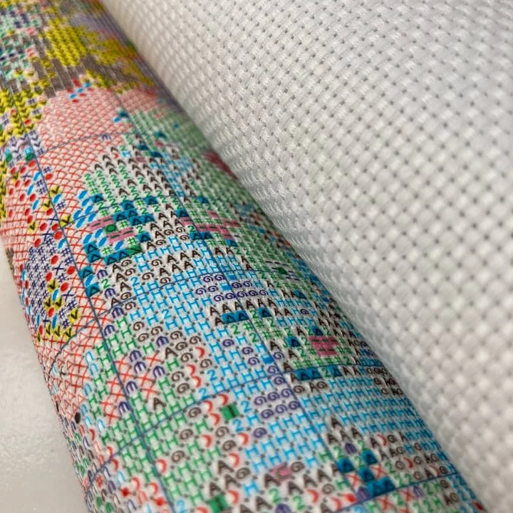 [CC318-레몬 고양이] |   초보자를 위한 DIY - Cross Stitch Stamped Kits Beginners 리뷰 및 가격
